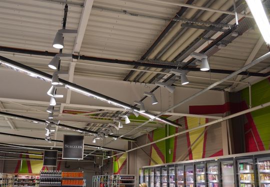 Image 22 du projet Arbres Stylises - Scénographie Intérieure