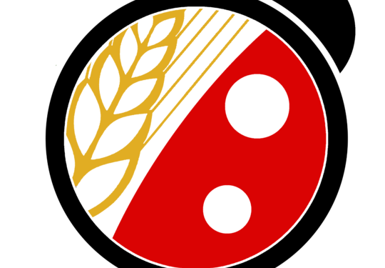 Image 1 du projet Ecocciram - Relais Assistance Maternelle